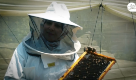 الشابة الغزّية "سمر البع" تُعيد تأهيل منحلة والدها التي استشهد بها على يد الاحتلال الإسرائيلي