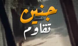 انفو فيديو || جنين تقاوم