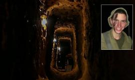 هادار غولدن