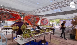 افتتاح مهرجان العنب التسويقي في مدينة جنين للعام الخامس على التوالي