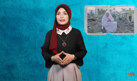 مرور الذكرى السادسة على حرب 2014 بغزة.. حلقة جديدة من برنامج كليك مع نعمة المصري