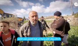 الاحتلال يتسبب بنكبة جديدة للمزارعين الفلسطينيين في قرية الهجري جنوب الخليل بعد تجريف أراضيهم
