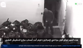 ضابط إسرائيلي يسرق عدة كيلو غرامات من الحشيش الطبي "الماريجوانا"