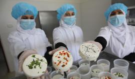 "الأيدي الطيبة".. مشروع نسوي يستهدف الأيدي العاملة في مدينة رفح