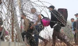 الإحصاء: بطالة غزة تقفز إلى 68% خلال الحرب وارتفاع حاد في الضفة إلى 28%