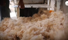 التنجيد.. مهنة تراثية متوارثة بغزة مهددة بالاندثار!