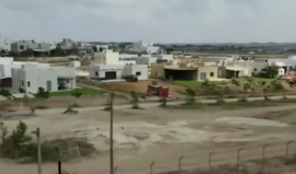 الاحتلال يشق طرق للهروب من محيط قطاع غزة في أي تصعيد قادم، ويكثف زراعة الأشجار للاختباء.