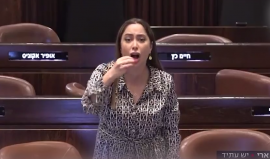 "بتكاكي كالدجاجة.. مستفزة وحقيرة".. شتائم وردح بين اثنتين من أعضاء الكنيست الإسرائيلي