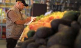 مباحث التموين