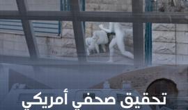 باستخدام تقنيات الواقع الافتراضي.. تحقيق يُفند رواية الاحتلال بالمجزرة التي ارتكبها نابلس