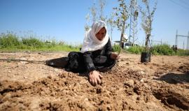 الجهاد الإسلامي: ندعو لتصعيد المقاومة في ذكرى يوم الأرض