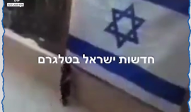 بعد مشهد الغراب.. قطة تُنزل علم الاحتلال في مشهد عنوان "يُدرك الطير ما يجب أن يفعله"