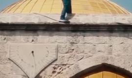 "خلو العلم الفلسطيني على الأكتاف"