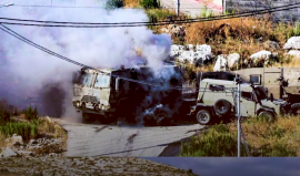 جنين الثورة