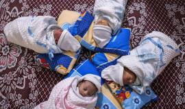 الأسير أحمد شمالي يُرزق 4 توائم عن طريق النطف المهربة حيث نجح بتهربيهم من سجون الاحتلال بعد اعتقال متواصل للعام الـ 15