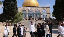 اقتحامات جديدة للأقصى وتشديد قيود الاحتلال على المصلين