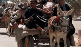 فلسطينيون ينزحون من مخيم البريج بعد اقتحام دبابات الاحتلال الاسرائيلي مناطق شرق المخيم.