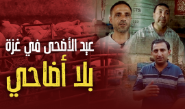 عيد الأضحى في غزة بلا أضاحي