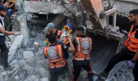 Gaza Health Ministry Reports 41 Deaths and 184 Injuries in 24 Hours.png