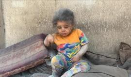 صورة تعبيرية