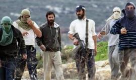 اعتداءات المستوطنين بحق الفلسطينيين -أرشيفية-