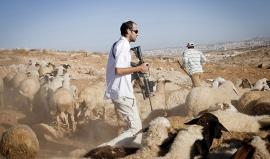 الاستيطان الرعوي