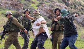 المستوطنون يصعدون انتهاكاتهم بحق المواطنين شرق وشمال رام الله