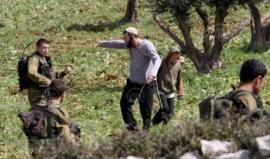 مستوطنون يتلفون 8 دونمات من أراضي القمح في مسافر يطا