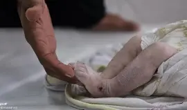 11 طفلاً قضوا تجمّداً في غزة