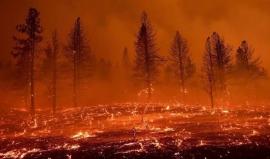 استراليا تعلن حالة كارثة حرائق