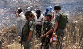 المستوطنون يواصلون انتهاكاتهم بالضفة.. هجمات واقتحامات واستباحة لأراضي المواطنين