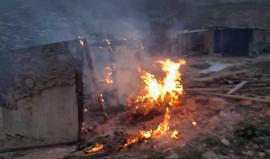 مستوطنون يحرقون منشآت زراعية شمال شرق القدس