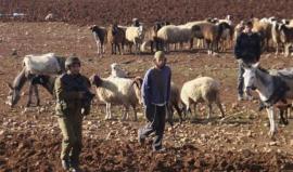 صورة تعبيرية