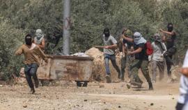 مستوطنون يعتدون على مواطنين في الضفة الغربية _أرشيفية_