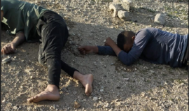 إصابة شابين في اعتداء للمستوطنين قرب الخان الأحمر جنوب أريحا