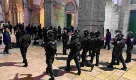 الاحتلال يعتقل ناشطًا مقدسيًا