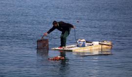 خسائر قطاع الصيد في غزة تجاوزت 75 مليون دولار