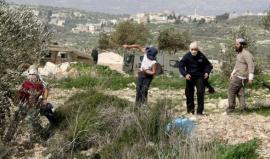 اعتداءات المستوطنين متواصلة