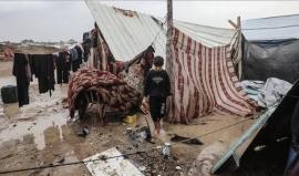 عائلة فلسطينية تسكن في خيمة بالية لا تقي برد الشتاء ولا حر الصيف -أرشيفية-