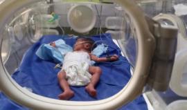 وصول مرتقب لـ8 أطفال خدّج إلى غزة عبر معبر رفح