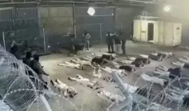 إلغاء لوائح اتهام ضد جنود إسرائيليين بقضية اغتصاب أسير في "سديه تيمان"