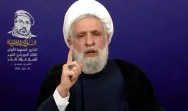 أمين عام حزب الله نعيم قاسم