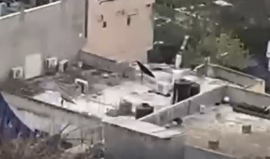 الاحتلال يهدم منزلًا لعائلة "رويضي" في سلوان بالقدس المحتلة