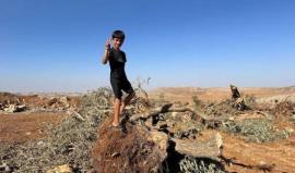 الاحتلال يقتلع أشجاراً ويجرف أراض في سلفيت وقلقيلية