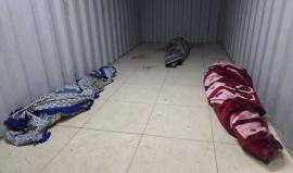 صوت الحقيقة تحت مقصلة الإبادة.. دماء الصحفية "آمال شمالي" شاهدة على العجز الدولي