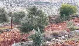 صورة تعبيرية