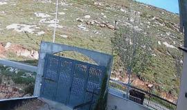 مستوطنون يطلقون مواشيهم قرب منازل في بيت إمرين شمال غرب نابلس