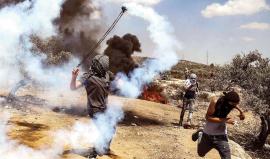 المستوطنون يتمادون بالعدوان.. والضفة على صفيح ساخن!