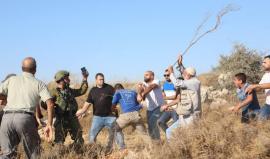 هجمات للمستوطنين شرق طوباس وفي تجمع بدوي بمدينة القدس