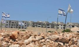 الاحتلال يعيد تأسيس مستوطنة "غانيم" على أراضي جنين